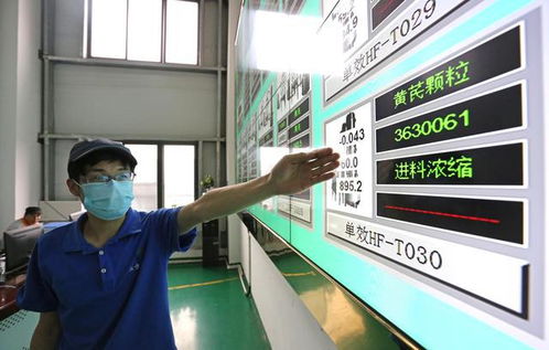 大數據驅動貴州農業升級，智能工廠與信息技術咨詢助力產業轉型